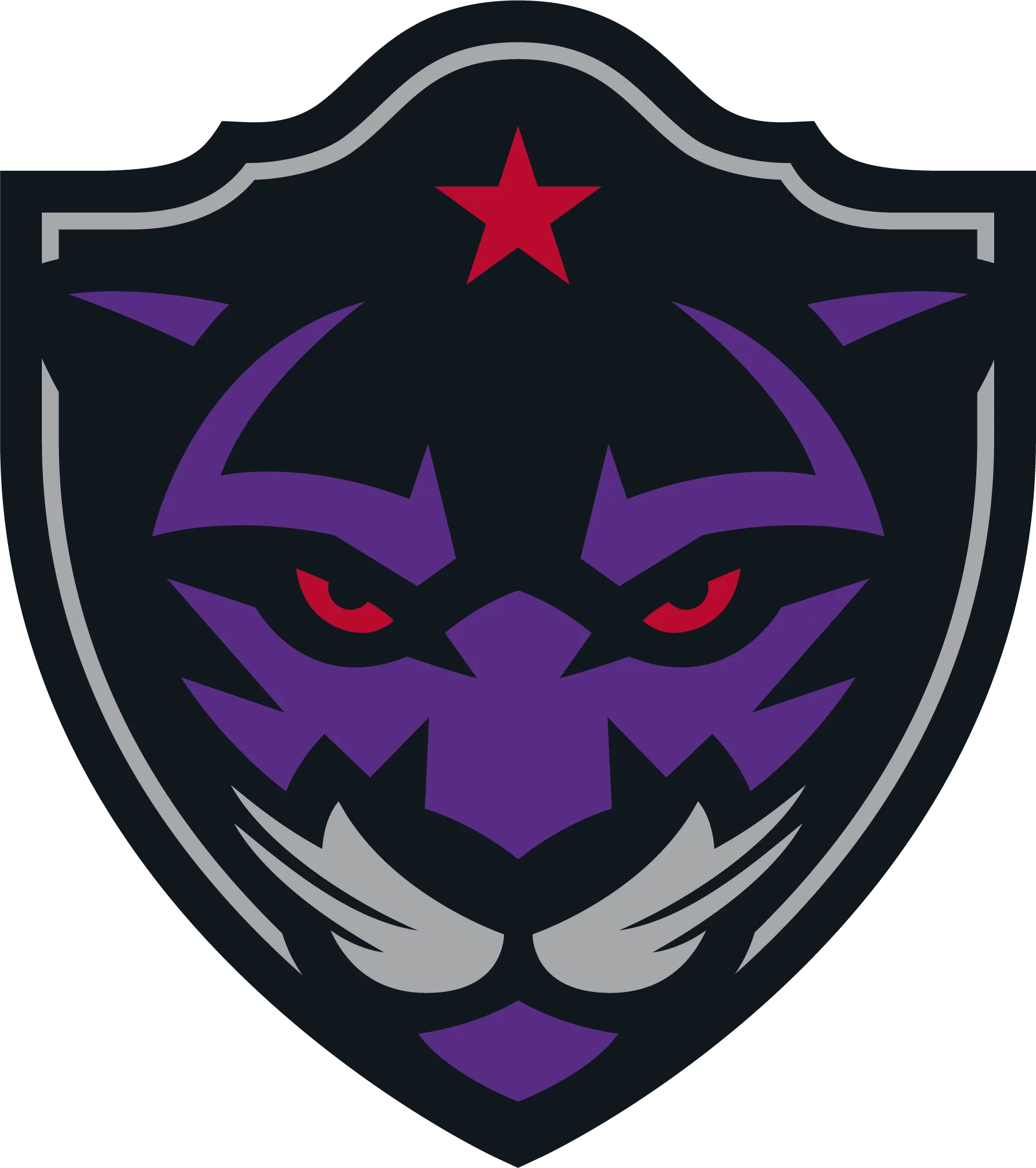dallasnlllogo